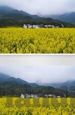 澳门葡京赌场筹码面值-澳门葡京赌场筹码面值，赌场经济的独特符号