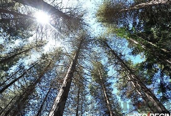 竞彩足球比分 规则-竞彩足球比分，规则详解与玩法指南